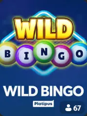 Wild Bingo BC Game Bermuda game cover