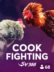 Cock Fighting BC Game Bermuda game cover